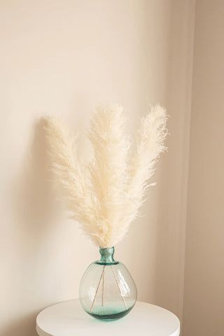 Large white fluffy pampas grass in glass bowl vase