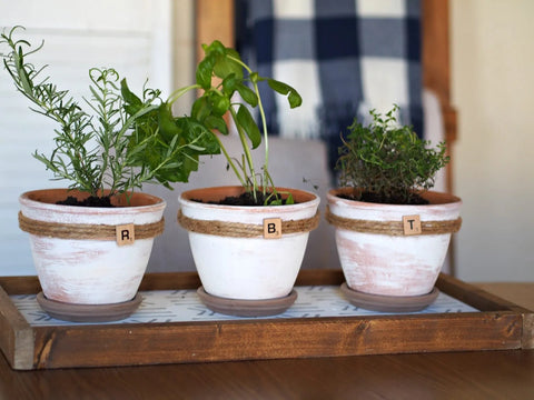 indoor flower pot ideas