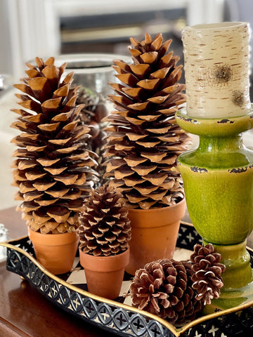 Terracotta pots with pinecones.