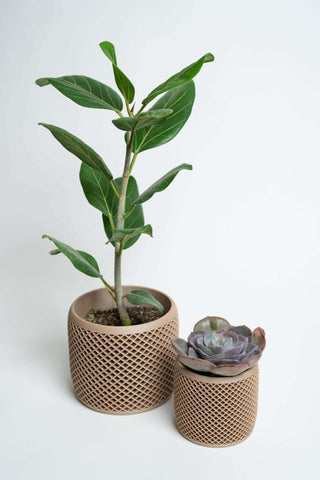 VISION geometric planters by Woodland Pulse