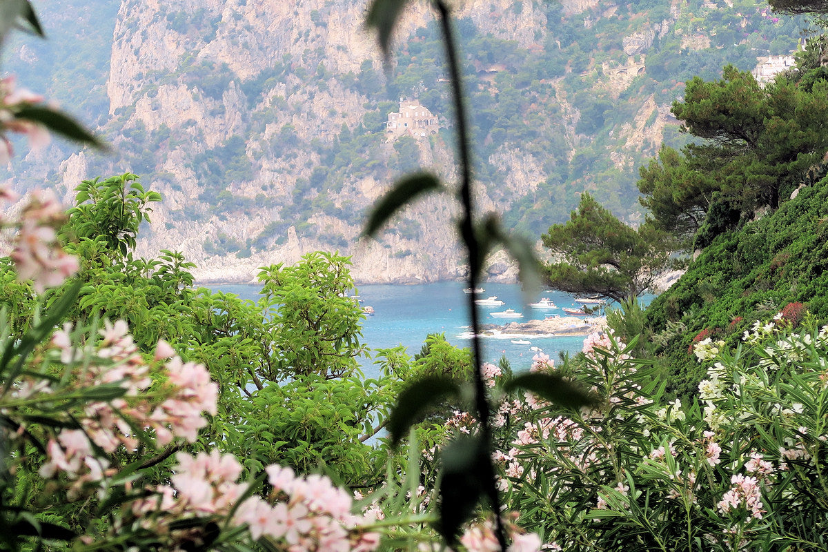 Boat harbor on Capri