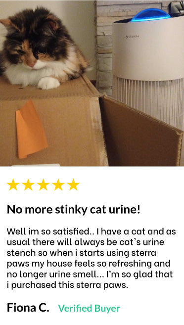 Calico cat sitting on a box next to an air purifier with a five-star review.