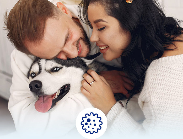 A couple cuddles their happy Siberian Husky dog indoors.