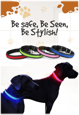 Woordenlijst Grap taxi Glow Collar - Be seen, be safe, be stylish!