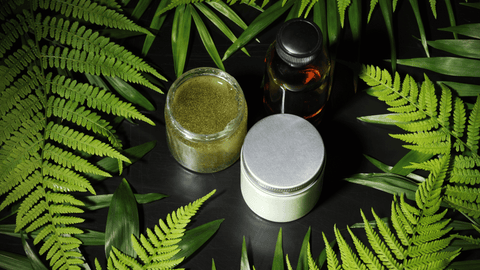 Skincare Products from Plants