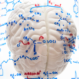 كيمياء الدماغ