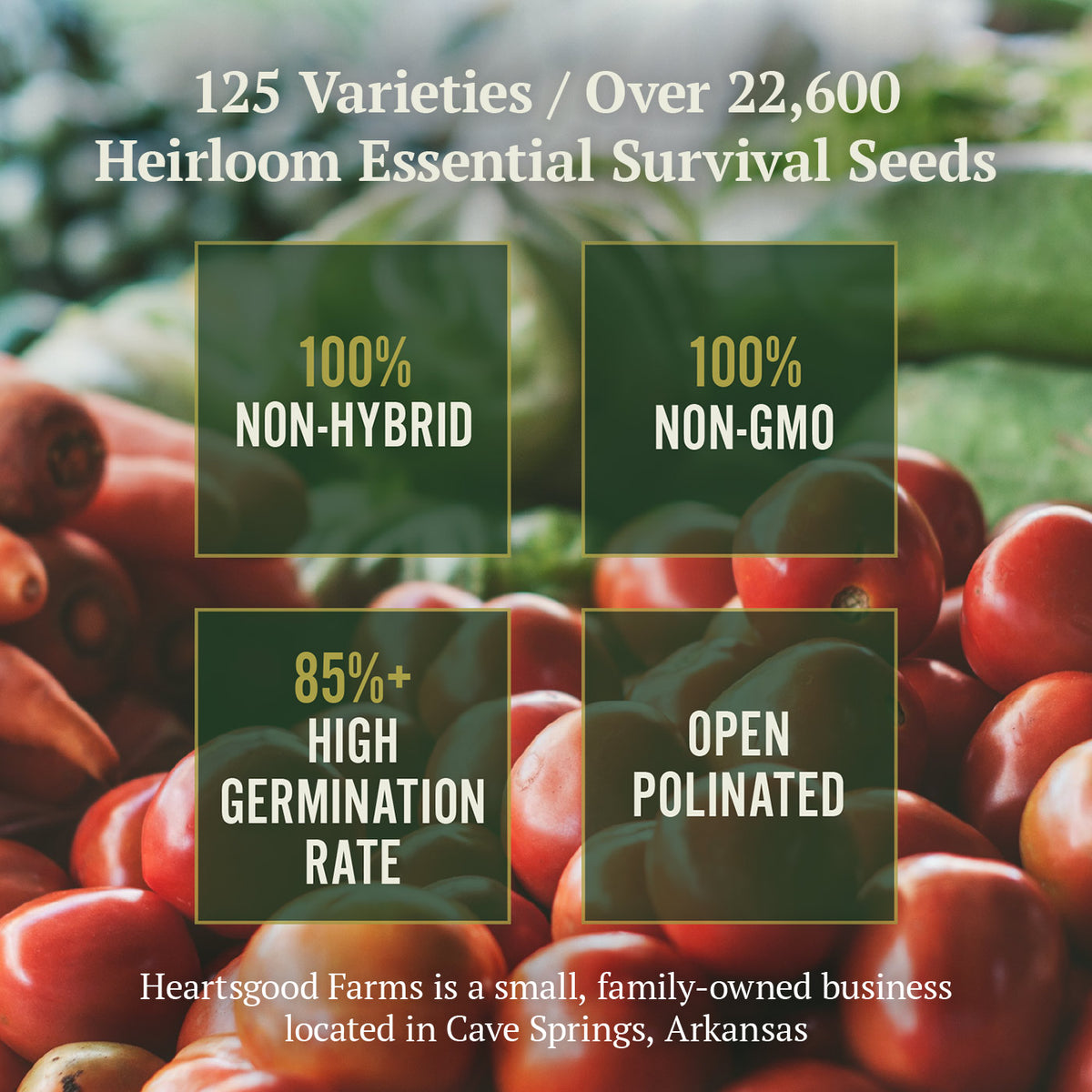 50 Variety - Heirloom Seed Kit - Heartsgood Farms