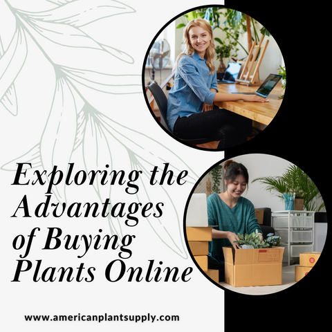 Exploring the Advantages of Buying Plants Online