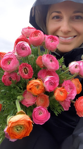 ranunculus flower farmer