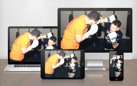 A graphic image of Andy Souwer demonstrating his Dutch Kickboxing System for training fighters