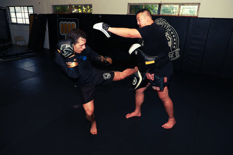 A photo of Dr Jason Park from The Foundation of Muay Thai - Building Elite Fighters volume on the Warrior Marketplace