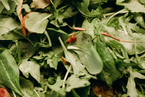 Fresh spinach in bowl