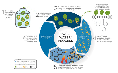 Infographic on how Swiss Water Decaf is done