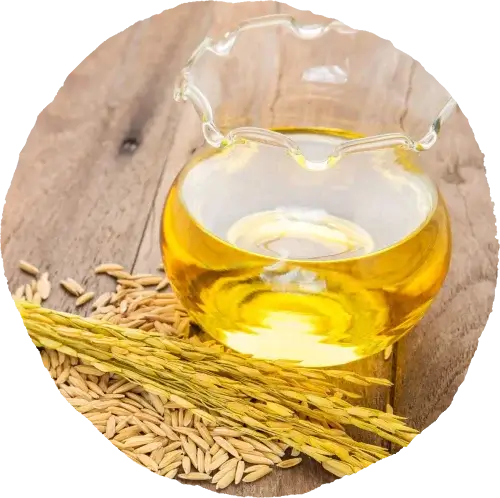 rice bran.webp__PID:03c3657e-053f-49b1-a25f-82bd14550dab