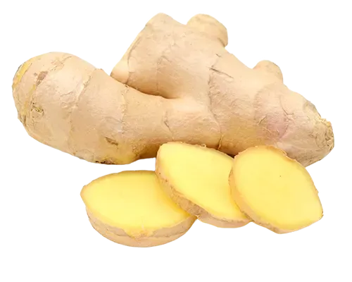 Ginger