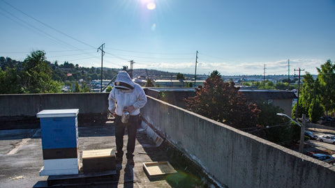 Peter beekeeping on a roof