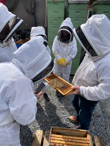 How to become a backyard beekeeper - The Washington Post