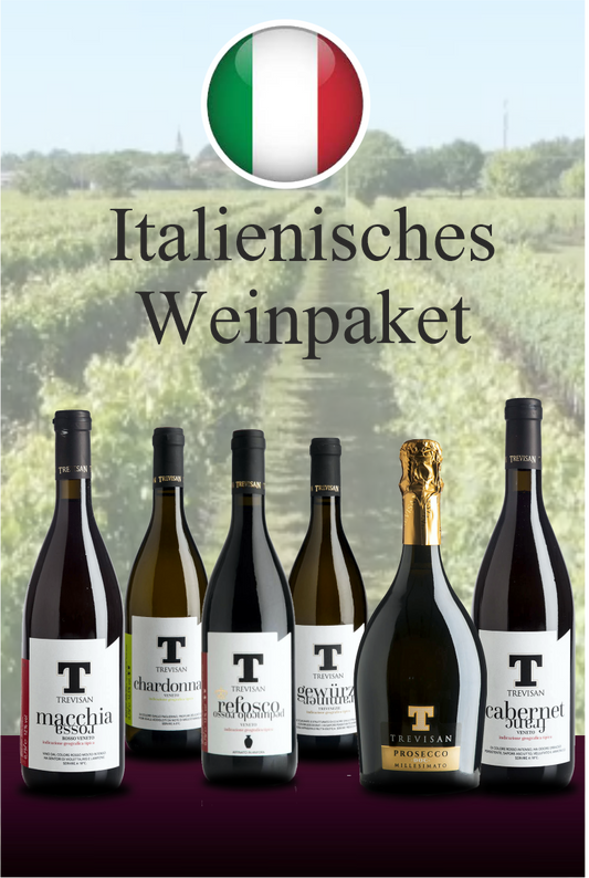 ARGENTINISCHES WEINPAKET x 6 FLASCHEN – Wir lieben Weine