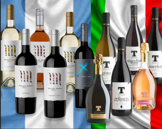 ARGENTINISCHES WEINPAKET x 6 – FLASCHEN lieben Wir Weine