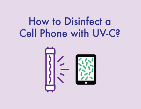 how to disinfect a cell phone