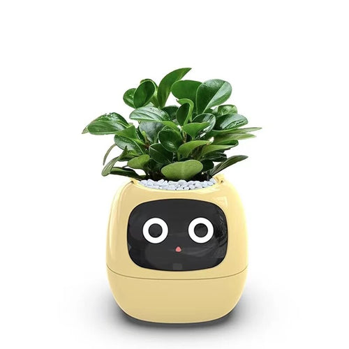 kHT6New-Smart-and-Cute-Pet-Pet-Pot-Ivy-Table-Top-Green-Plants-Let-Your-Plants-Express.jpg__PID:ca8c3a11-f92b-497c-8774-35c168d7ff3d
