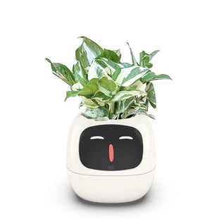 rrDlNew-Smart-and-Cute-Pet-Pet-Pot-Ivy-Table-Top-Green-Plants-Let-Your-Plants-Express - Copy - Copy.jpg__PID:fad9ca8c-3a11-492b-b97c-077435c168d7