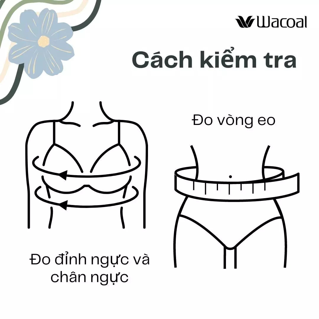 Wacoal huong dan do size do lot