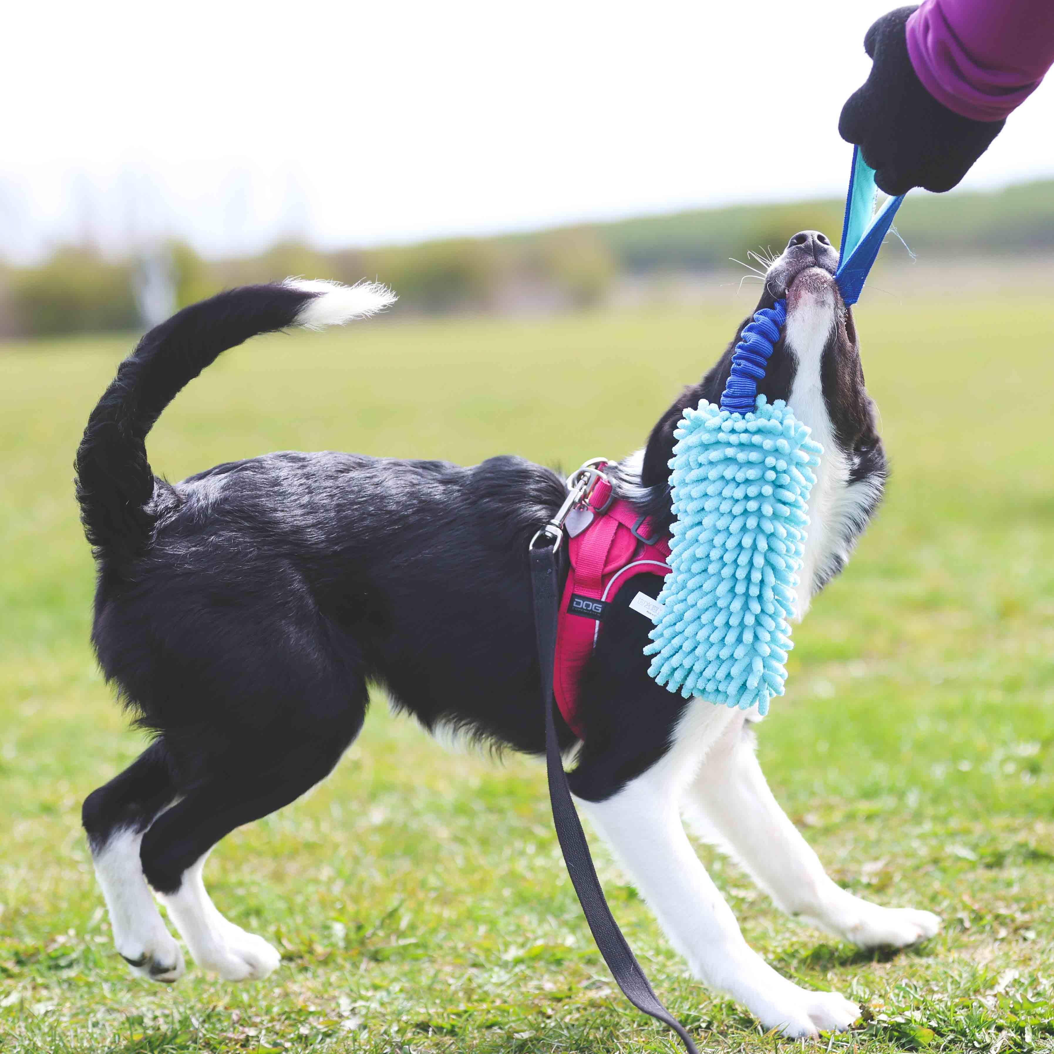 Muligt Penge gummi At Trækkelegetøj med moppe & elastik – Superhund