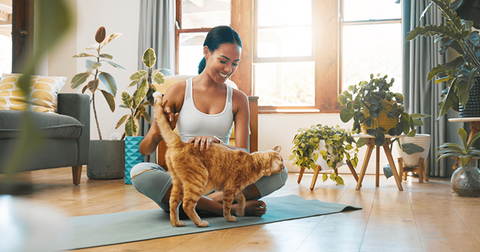 Gato pelirrojo frotándose con una chica haciendo yoga.
