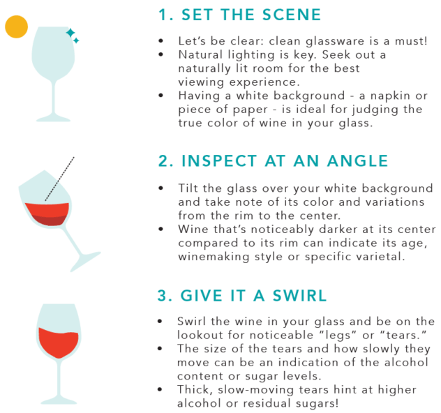 Visual Tips for Getting to Know Your Wine