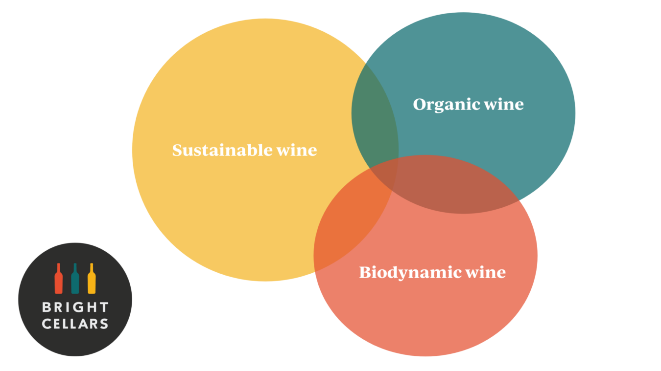 what is organic wine