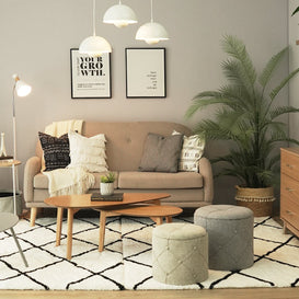 A living room set up with a couch, coffee table, rug, and fern.