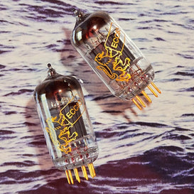 Two Eco83 fuses