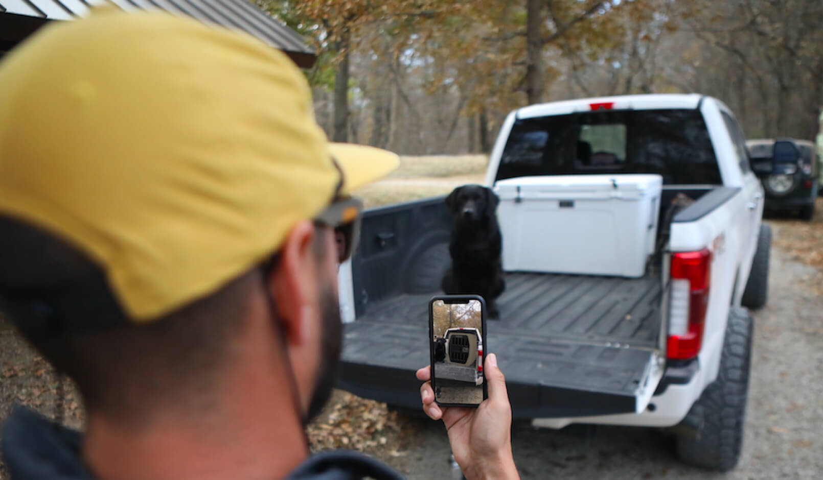 A black dog sitting in the back of a pickup truck while a man is using virtual reality features on his phone to visualize a crate around his dog.