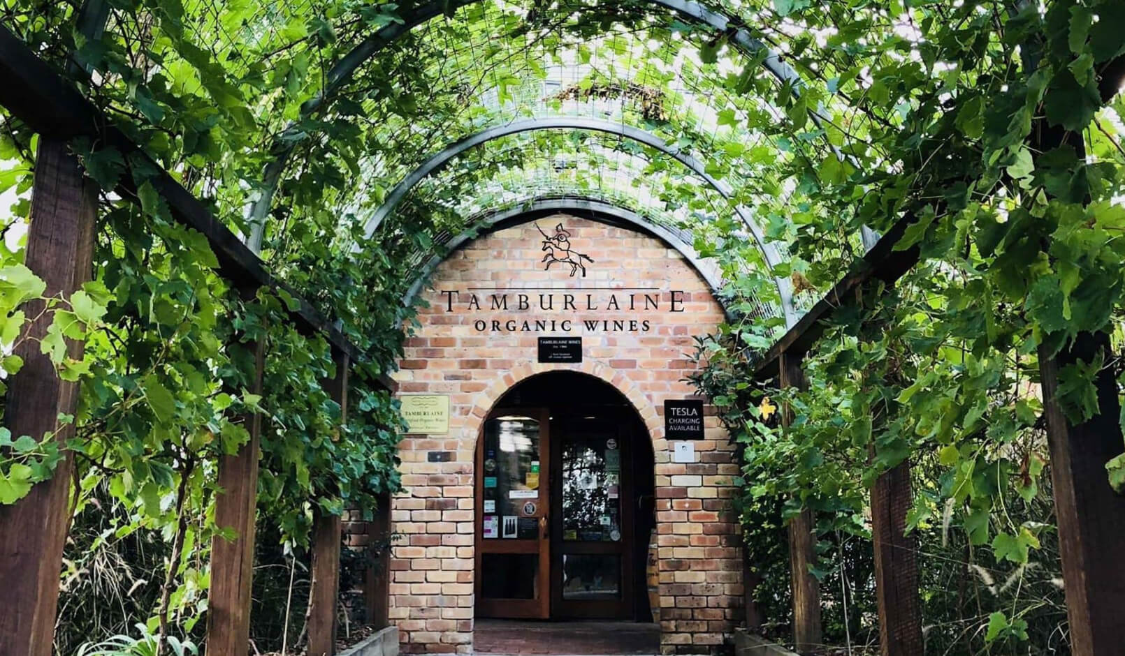 Tamburlaine Organic Wines entrance with greenery and rounded doors