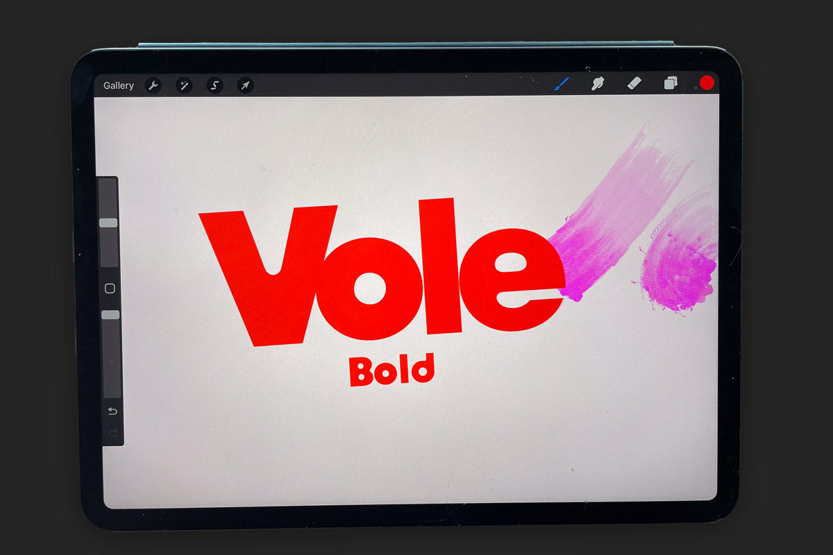 Vole Bold, rounded counters font