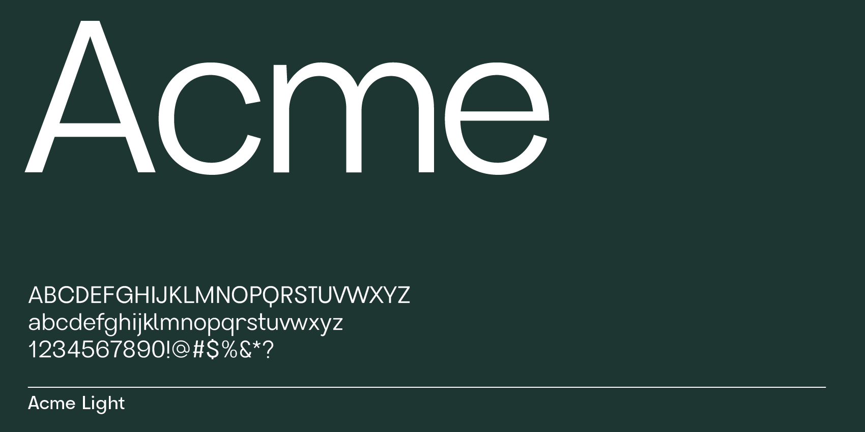 modern sans-serif font Acme