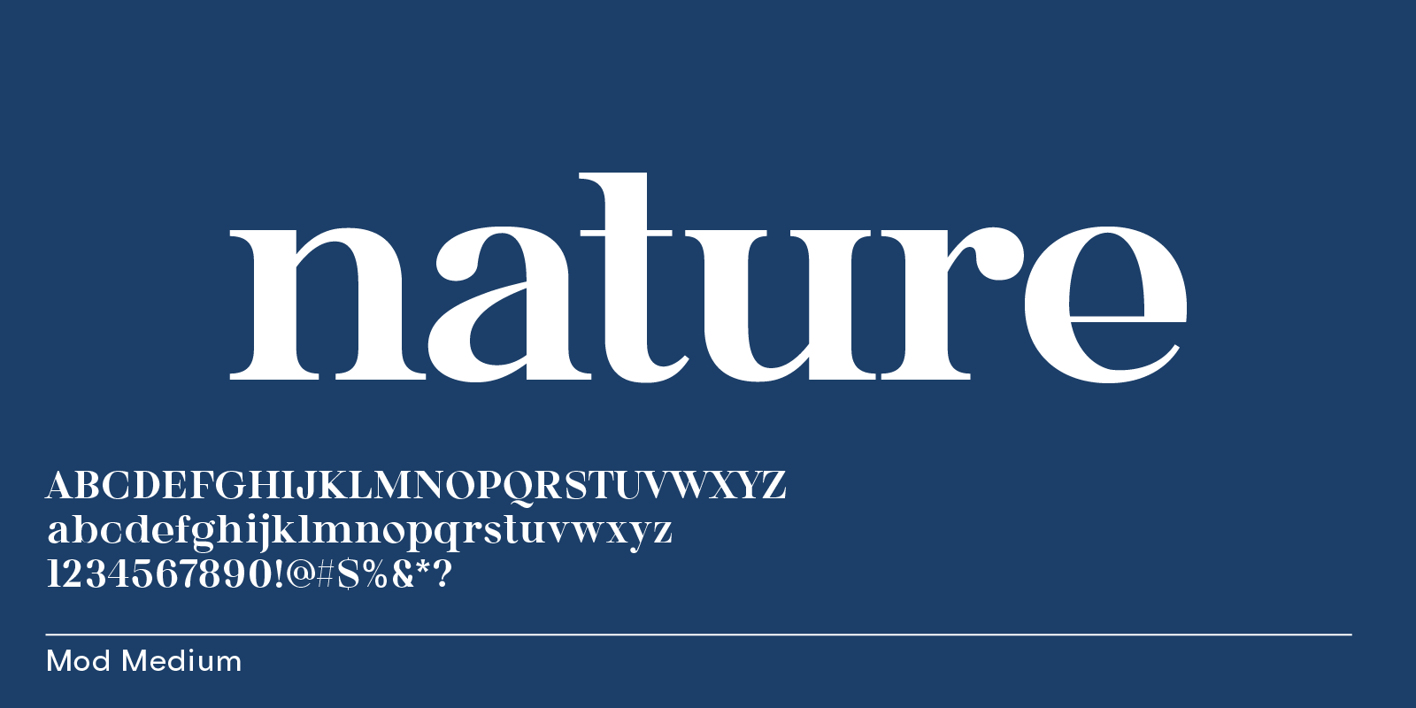 Bauhaus Mod, serif font similar to Nature