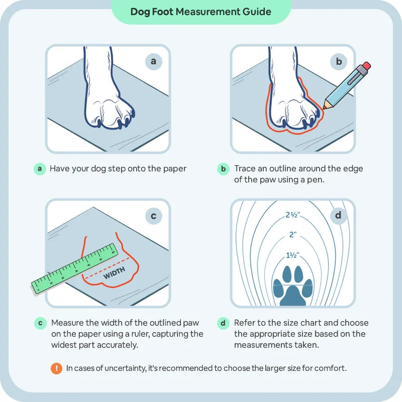 How to Measure Dog Foot