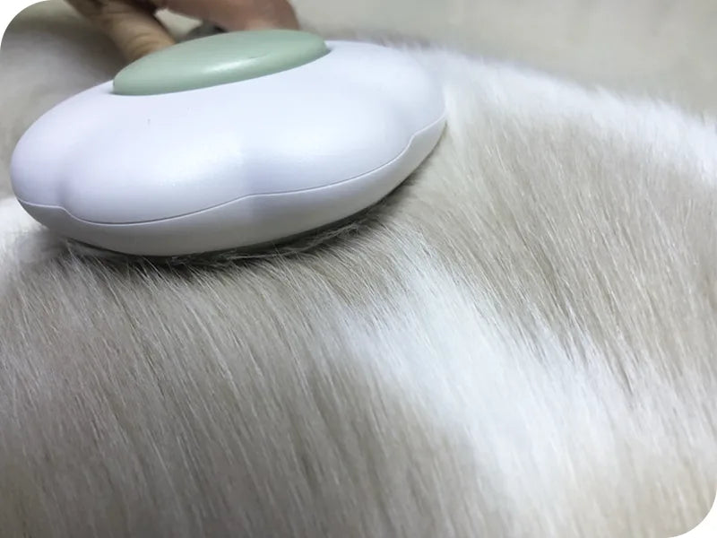 Pawsitive Self-Cleaning Pet Needle Comb!