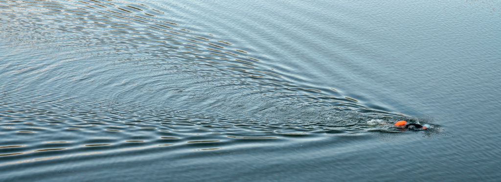 Swimmer from above