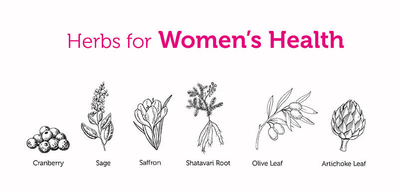 six herbs for womens health