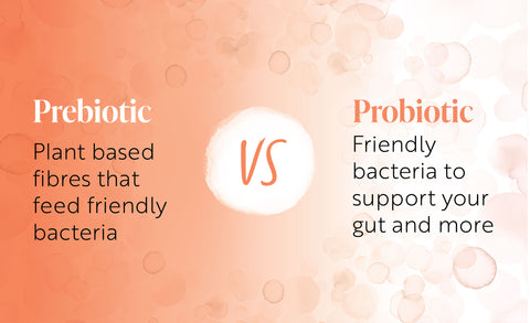 Probiotic Vs Prebiotic