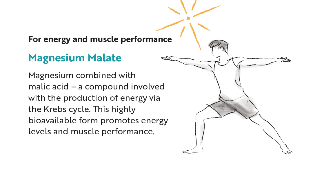 Magnesium Malate