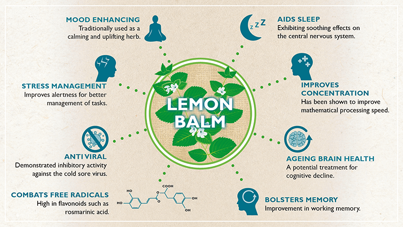 Top 8 Health Benefits of Lemon Balm