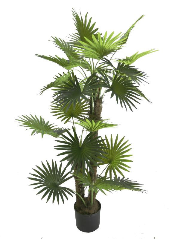 Palmera Artificial Fan H150 - Compre en línea árboles y plantas sintéticas  – Vintahome