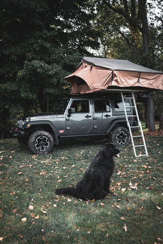 rooftop tent dog