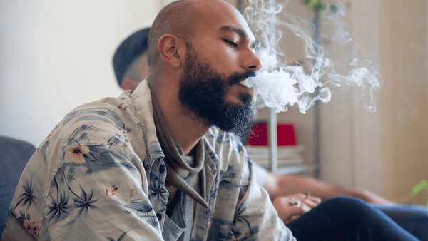man sitting on couch smoking cannabis with friends tcheck potency tester endocannabinoid blog