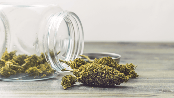 Decarbing Cannabis in a Heat-Proof Canning Jar