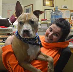 CoatHook pet comb fundraiser - Harvest Hills Animal Shelter - Big dog on volunteer's lap